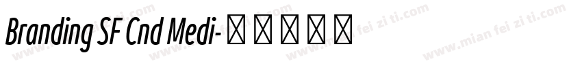 Branding SF Cnd Medi字体转换